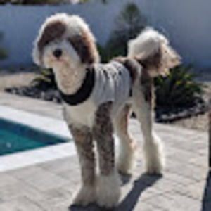 Meet your Posher, Janette